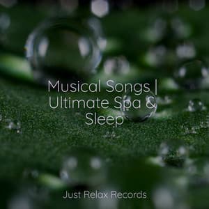 Musical Songs | Ultimate Spa & Sleep - Música a Relajarse