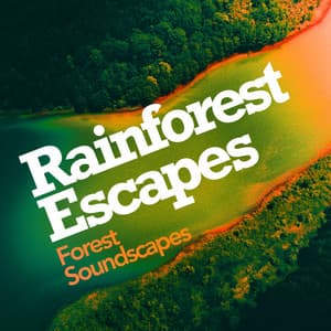 Rainforest Escapes - Forest Soundscapes