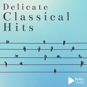 Delicate Classical Hits - Laurent Dury
