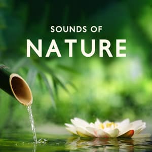 Sounds of Nature: Instrumental Melodies for Relax, Meditation, Spa and Sleep Aid - Nature Zone