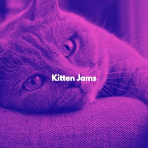 Kitten Jams - Cats Music Den