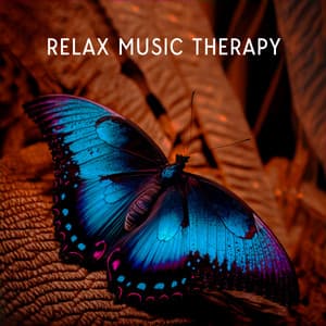 Relax Music Therapy: Background Music for Focusity and Nature Sounds for Live - Relax Time Universe