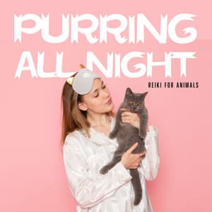 Purring All Night - Reiki for Animals