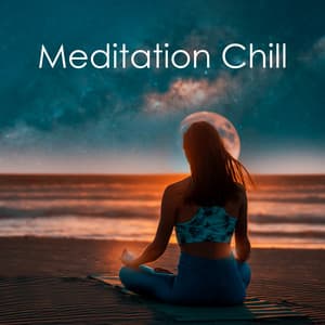 Meditation Chill: Ecstatic Mindfulness Practice - Meditation Music therapy