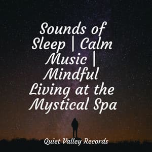 Sounds of Sleep | Calm Music | Mindful Living at the Mystical Spa - Chillout Lounge