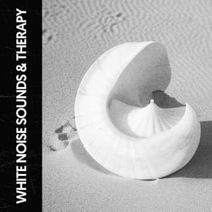 White Noise Sounds & Therapy: The Soothing Symphony - Relajacion