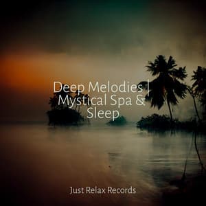 Deep Melodies | Mystical Spa & Sleep - Chinese Relaxation and Meditation