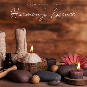 Harmony's Essence: Spa Music - Calm Music Zone
