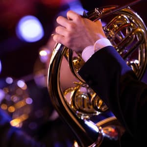 Spa Relaxation Orchestra: Calming Tunes - Charles Anderson