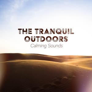 The Tranquil Outdoors - Calming Sounds