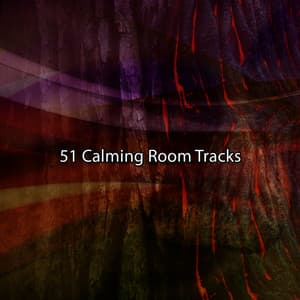 51 Calming Room Tracks - Massage Music