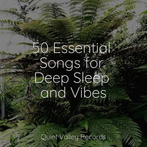 50 Essential Songs for Deep Sleep and Vibes - White Noise for Babies