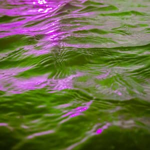 Music for Wild Imaginations - Klaviermusik