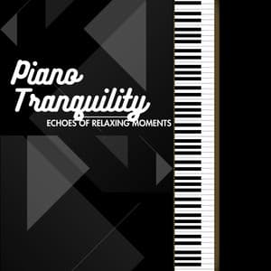 Piano Tranquility: Echoes of Relaxing Moments - Relaxation Serenity Ensemble