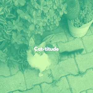 Cat-titude - Music for Cats Peace