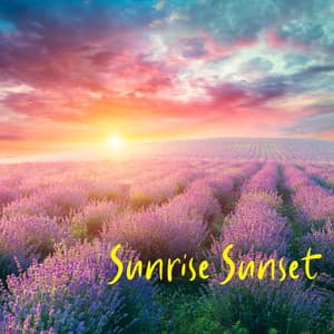 Sunrise Sunset - John Barrett