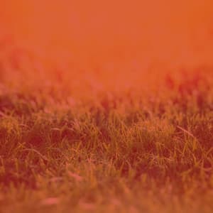 Charming Trumpet Solo - Ambiance for Unique Thoughts - Sleepy Night Music