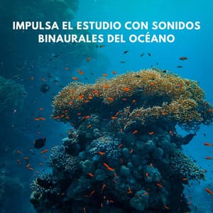 Impulsa El Estudio Con Sonidos Binaurales Del Océano - Colectivo de estudio Binaural Beats