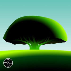 Beneath the Banyan - Endel