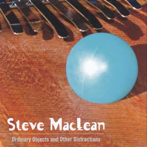 Ordinary Objects and Other Distractions - Steve MacLean
