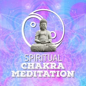 Spiritual Chakra Meditation - Chakra Meditation Specialists