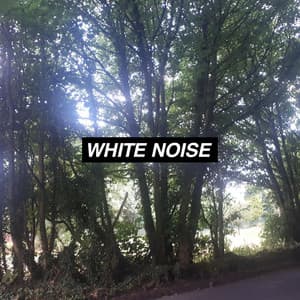 Stress Relieving White Noise Collection - Rain Noise Collectors