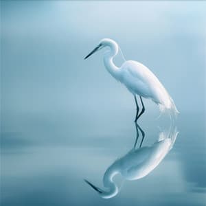 Arrullo De La Lluvia: Sueño Binaural En La Naturaleza - 80 88 Hz - Musica Para Dormir