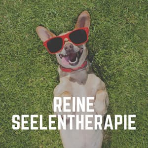 Reine Seelentherapie - Hundemusik