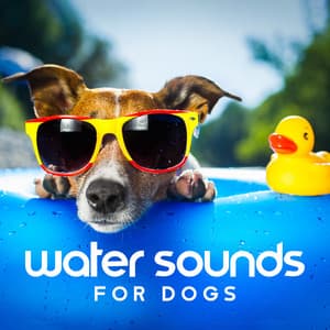 Water Sounds for Dogs: Nature Ambient Relaxation, White Noise for Pets, Music for Separation Anxiety - Pet Care Club