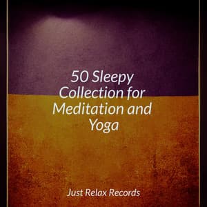 50 Sleepy Collection for Meditation and Yoga - Anxiety Relief