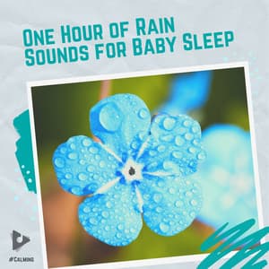 1 Hour of Rain Sounds for Baby Sleep - #Calming