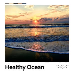 Healthy Ocean - Sounds of Nature Noise