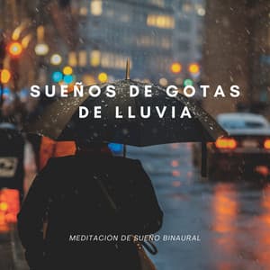 Sueños De Gotas De Lluvia: Meditación De Sueño Binaural - Ritmos Binaurales Sueño Profundo