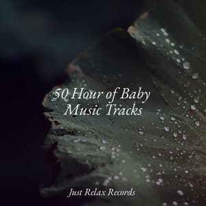 50 Hour of Baby Music Tracks - Calm Music for Studying