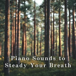 Piano Sounds to Steady Your Breath - Relaxing BGM Project