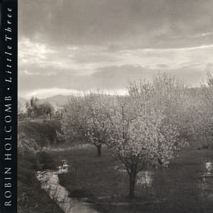 Little Three - Robin Holcomb