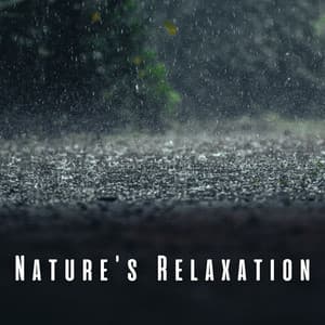 Nature's Relaxation: Serene Light Rain Tones with Bird Songs - Nature Sounds And Whispers