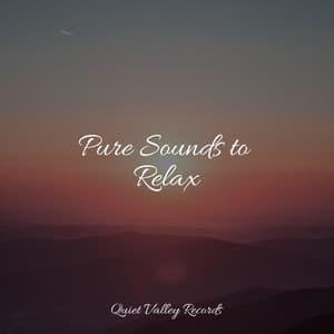Pure Sounds to Relax - Relajación