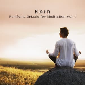 Rain: Purifying Drizzle for Meditation Vol. 1 - Relax Meditation Sleep
