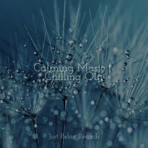 Calming Music | Chilling Out - Sleepy Night Music