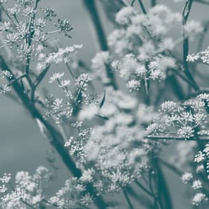 Journey to the Cave of Guanyin - Theresa Wong