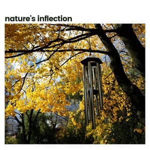 Nature's Inflection - Nature Soundscapes