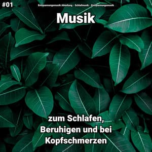 #01 Musik zum Schlafen, Beruhigen und bei Kopfschmerzen - Entspannungsmusik Abteilung