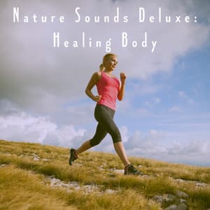 Nature Sounds Deluxe: Healing Body - Rain Sounds Factory STHLM