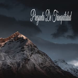 Pregunta De Tranquilidad - Relajante Academia de Música Zen