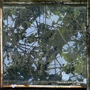 Teasing Reflections - Brigitte Beraha