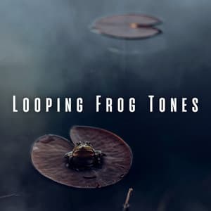 Looping Frog Tones - Nature's Noise