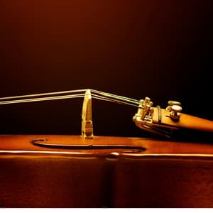 Serene Spa Sounds: Orchestra Music - Jason Humphries