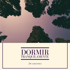 Dormir Tranquilamente 26 Canciones: Música para Reducir la Ansiedad y la Depresión - Musica para Dormir Dream House