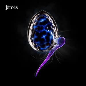 The Night Before - James